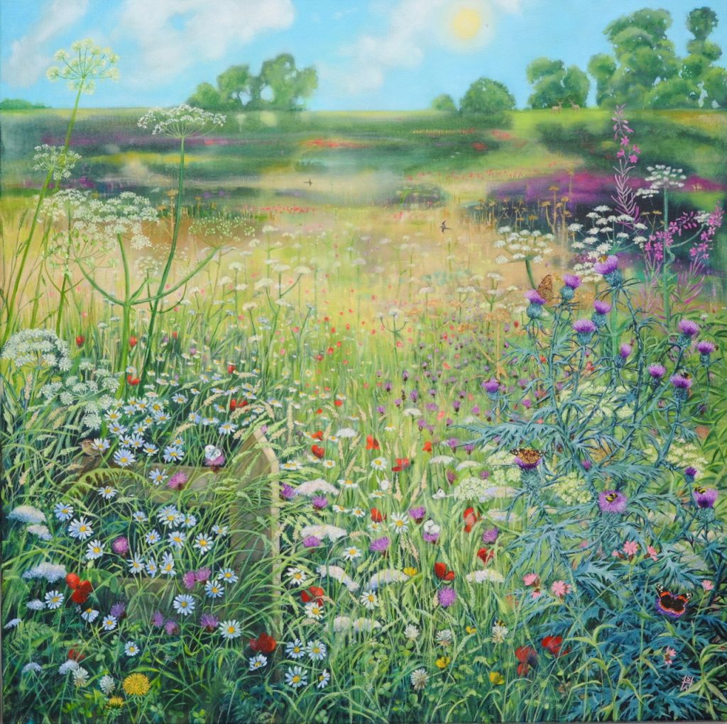 'Summer Meadow, Scottish Borders' by artist Sheila Anderson Hardy